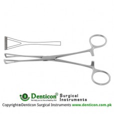 Duval Intestinal and Tissue Grasping Forceps Narrow Jaw Stainless Steel, 20.5 cm - 8"